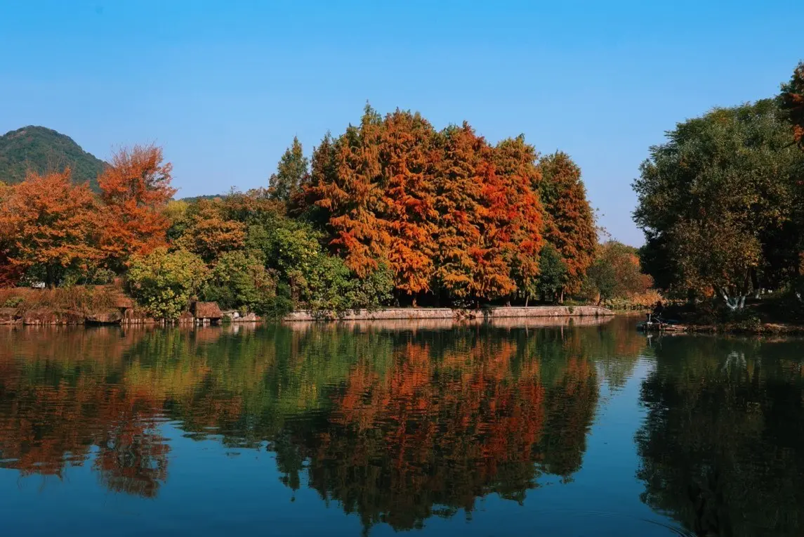 假区充分发 假区充分发