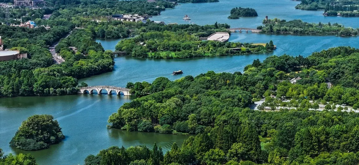 本次赛事的 本次赛事的