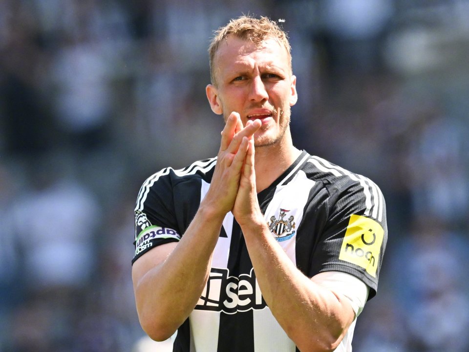 引进了德国 引进了德国